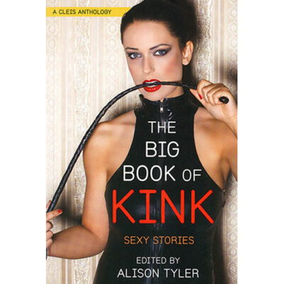 Big Book of Kink